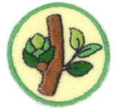 Badge Engagement Aventuriers