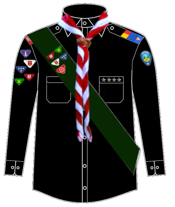 Pathfinder Sash