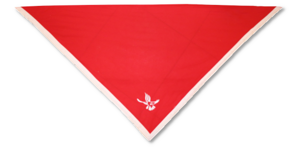 Foulard Explorateur - Pathfinder Scarf